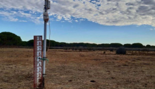 Doñana se seca mientras la política sigue enredada en plazos y tacticismos