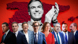 Comparamos los votos de Pedro Sánchez y los barones del PSOE de cada territorio