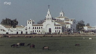 Humedales andaluces : Marismas de Doñana (rtve 1989)