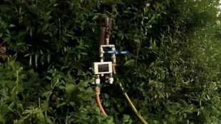 Una tecnología revolucionaria, desarrollada por dos estudiantes, permite recortar un 50% el gasto de agua en el riego agrícola