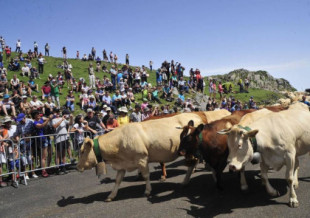 ¿Por qué Francia tiene que entregar a España tres vacas cada año?
