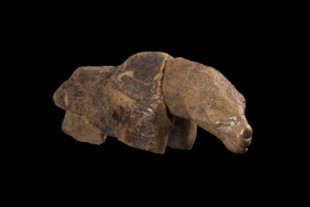 Un nuevo hallazgo muestra que la primera figura de marfil prehistórica encontrada en Hohle Fels no es un caballo