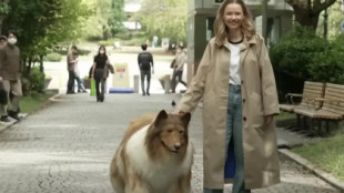 Primer paseo por la calle del hombre que se gastó casi 13.000 euros para transformarse en un perro