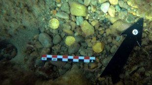 Restauradas 53 monedas de oro romanas halladas en aguas de Xàbia hace dos años por buceadores