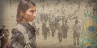 KCK: “Haremos rendir cuentas a los responsables del genocidio yezidí”