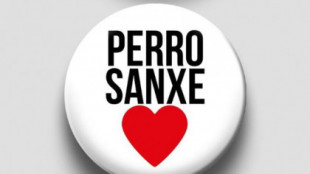 CHAPAS 'PERRO SANXE' | El PSOE abraza el meme de "perro sanxe": chapas, camisetas y pegatinas a precio de saldo