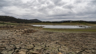 Más de 400.000 malagueños con el agua restringida ante la inacción de Moreno Bonilla