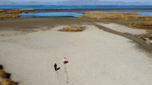 La extrema sequía también amenaza con convertir en desierto el mítico lago Titicaca