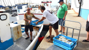 La pesca del Mar Menor cae un 90% y la Cofradía teme tener que echar el cierre al no haber ingresos