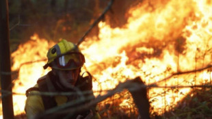 La Guardia Civil atrapa al causante del incendio de Foyedo, que quemó en marzo 10.000 hectáreas en Valdés (Asturias)