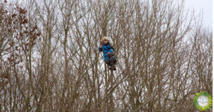 Escuelas bosques, en Dinamarca los niños estudian en la naturaleza