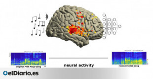 Así 'suena' Pink Floyd en tus neuronas: recrean una canción a partir de la actividad cerebral