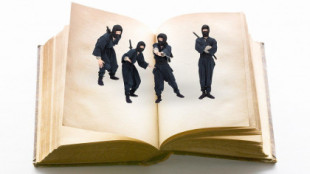 La verdad sobre los ‘ninjas’: las líneas de investigación más recientes
