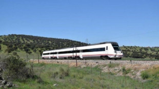 Un menor fallece y dos personas más heridas tras el arrollamiento del tren Madrid-Badajoz a un turismo