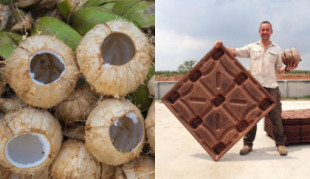 Los palets de corteza de coco salvarían 200 millones de árboles al año