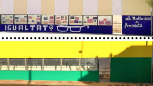 El Ayuntamiento de un pueblo de Castellón elimina el mural feminista de un colegio