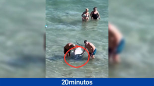 Varios bañistas despiezan un atún gigante en una playa de La Manga para llevárselo a casa