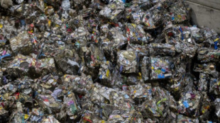 Greenpeace acusa a Ecoembes de falsear los datos de reciclaje de España: "Es un fraude"