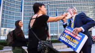 Activistas medioambientales lanzan una tarta a la cara del CEO de Ryanair
