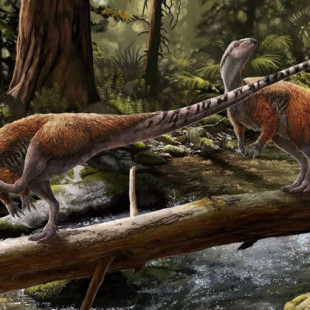 Nueva especie de pequeño dinosaurio genuinamente europea