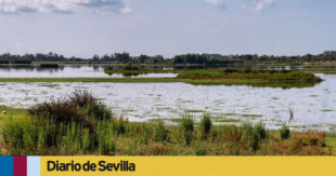 Condenan a cárcel a los dueños de una finca en Doñana por explotar ilegalmente el acuífero Almonte-Marismas