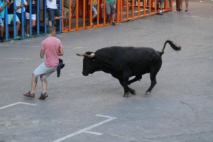 Muere un hombre tras recibir una cogida en los bous al carrer de la Pobla de Farnals (Valencia)