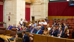 El PP aprueba definitivamente dos universidades privadas en Andalucía tras un tenso debate