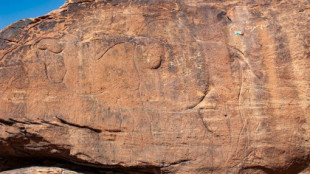 Imágenes de tamaño natural de especies de camellos extintas encontradas talladas en Arabia Saudita  (ENG)
