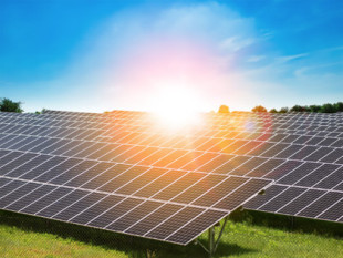 El PP y Vox suspenden en Elche todos los proyectos de fotovoltaica ya aprobados y tiran por la borda 100 millones