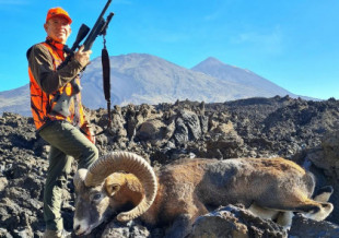 La caza de un muflón en el Teide agita las redes