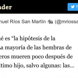 ¿Sabes qué es “la hipótesis de la abuela”? [HILO]