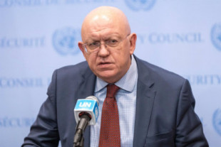 Rusia propone al Consejo de Seguridad de la ONU una resolución para un "alto el fuego humanitario" en Gaza