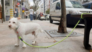 LEY DE BIENESTAR ANIMAL | El Gobierno pidió a la Policía que borrara un vídeo sobre la prohibición de atar perros en el súper: "Sentido común"