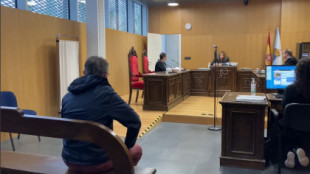 Un año de cárcel por colocar cebos con alfileres en Ourense durante 5 años para herir a perros