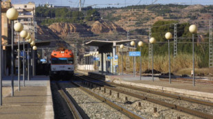 Detenido en un tren Zaragoza-Pamplona tras gritar que es de Hamás y agredir sexualmente a dos mujeres