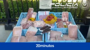 La Policía requisa 70 kilos de carne con olor nauseabundo y llena de cucarachas que iban a entregar a un restaurante en Madrid