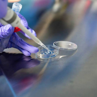 La Universidad de Barcelona investiga la muerte de un científico que estudiaba una enfermedad contagiosa letal
