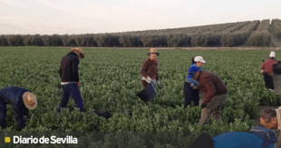 Incertidumbre en Marinaleda en la cuenta atrás sobre el futuro de la finca agraria que sustenta al pueblo