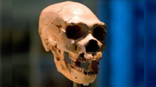 ¿Por qué algunos grupos de personas hoy en día tienen más ADN neandertal que otros?