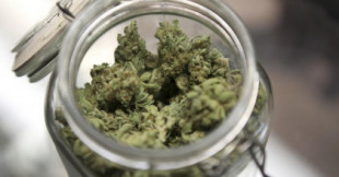 El Clínic propone prohibir el cannabis a los menores de 25 años