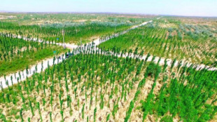 CHINA: El mayor proyecto de reforestación logra repoblar una superficie como dos veces Andalucía