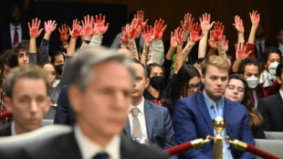 "¡Alto el fuego ya!" Manifestantes interrumpen una audiencia en el Congreso de EE.UU. (EN)