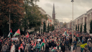 Protesta masiva en La Haya contra los crímenes de guerra israelíes [ENG]