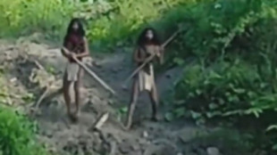 Vídeo que muestra a una tribu no contactada enfrentándose a un bulldozer que destruye su bosque