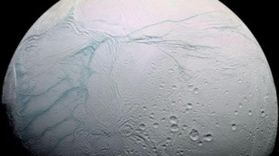Nuevos hallazgos reafirman que podría haber vida en Encelado, la luna oceánica de Saturno