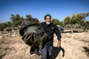 Un rabino ayuda a agricultores de Cisjordania frente a violencia de los colonos