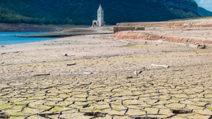 La región de Barcelona entrará en estado de emergencia “en los próximos días” por la sequía