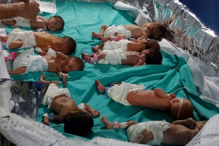 Realidad o ficción: Israel necesita falsas enfermeras para justificar la matanza de bebés en Gaza [ENG]