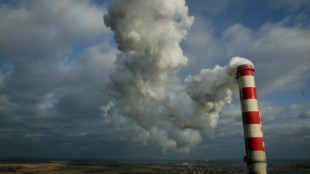 EMISIONES CERO: Estamos quemando demasiados combustibles fósiles para arreglarlo plantando árboles