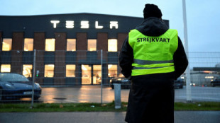 Tesla demanda a Suecia por bloquear el envío de matrículas en medio de una huelga contra la compañía